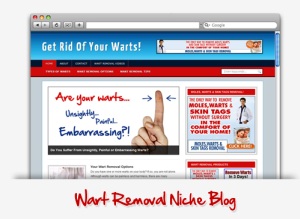Wart Removal Niche Blog